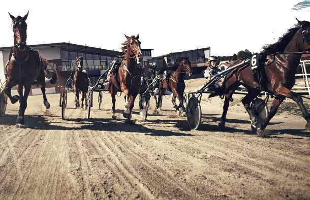 sprinterston, Stig Holms Memorial för de ästa -åriga stona
