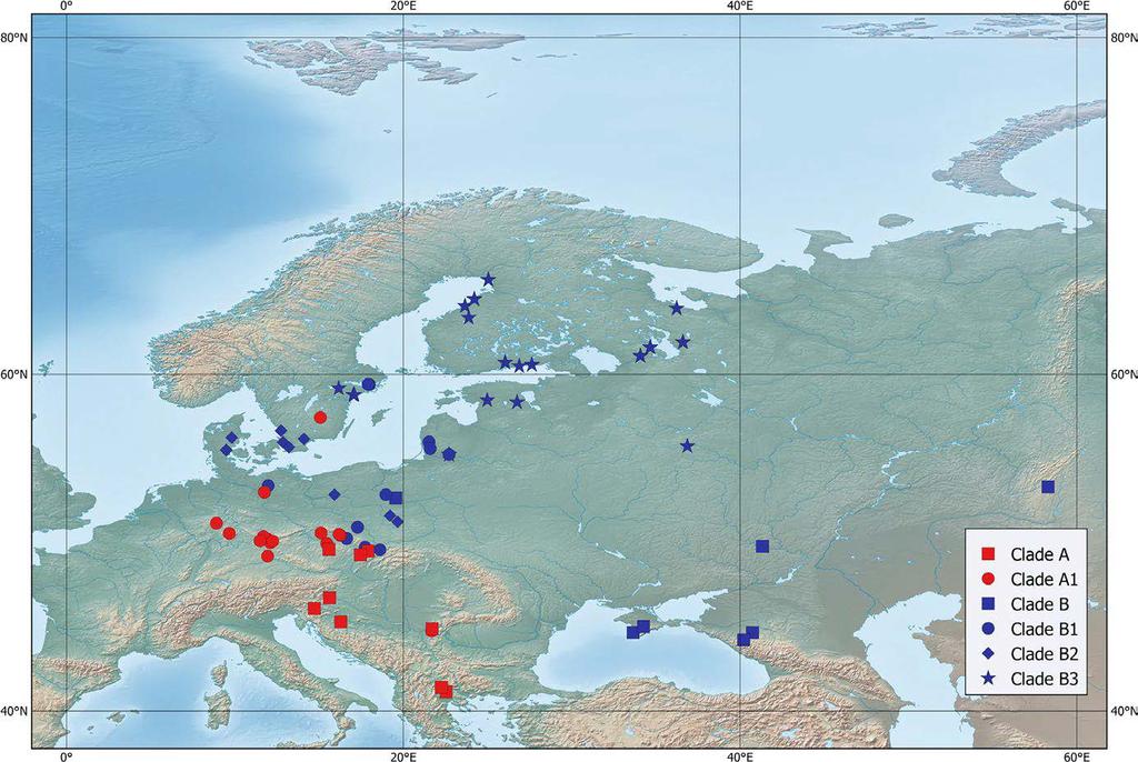 Those populations are probably descendants from at least two