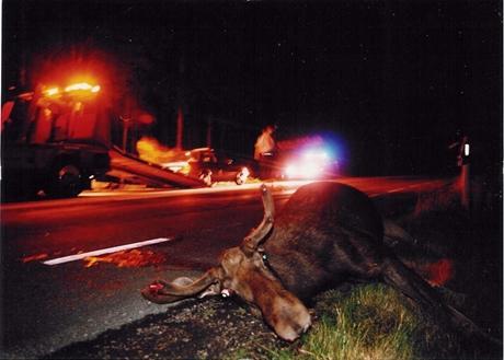 Oönskad situation Foto: Olof Carlson JAQT JAQT-verksamheten har under året hållit en förhållandevis låg profil. Några aktiviteter har inte arrangerats eller genomförts.