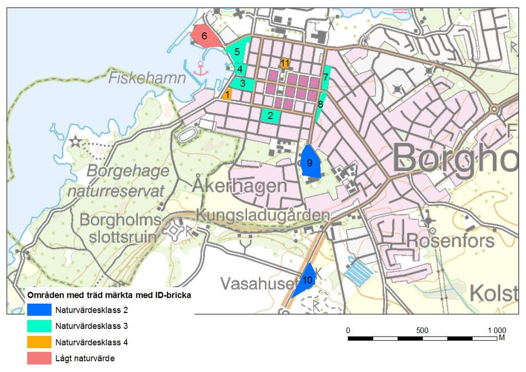 Figur 4. Lokalisering av områden där träden märkts med ID-bricka samt vilken naturvärdesklass dessa områden har tilldelats.