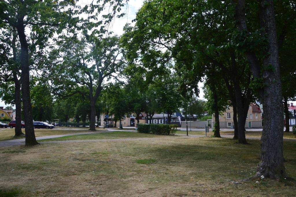 Område 8, parken vid den södra delen av Tullgatan har ett utställt trädskikt som delvis går ihop med allén längs Tullgatan (allé 10) Område 9, Lasarettet Beskrivning: Området utgörs av träd som växer
