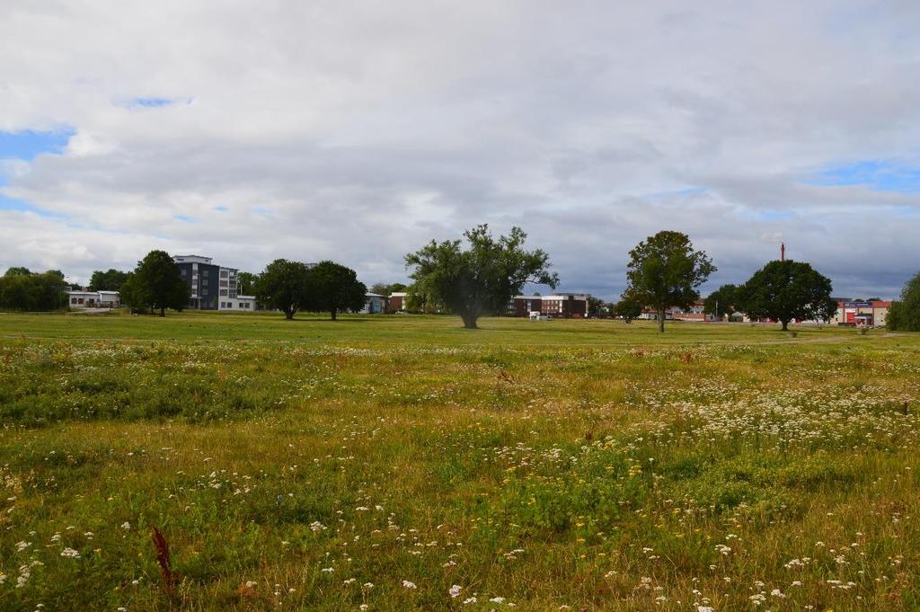 Västra delen av ytterområde 6 består av öppna marker med fristående lövträd med utvecklade kronor. Övriga delar av området är till stor del bebyggda av fritidshus.