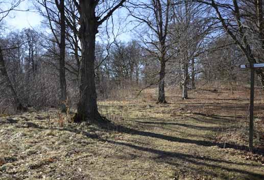 Tätortsnära landsbygden Land- och vattenområden utanför nuvarande och tillkommande tätort kallas tätortsnära landsbygd.
