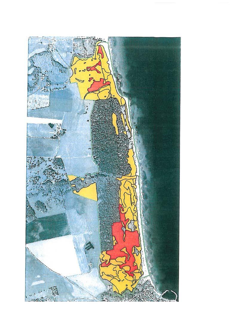 Figur 39. Det röda visar sandstäppens utbredning i Vitemölla strandbacar. Orange visar närbeslätade naturtyper på sandmar nuerliga nötning växer marerna lätt igen och floran och faunan hotas.