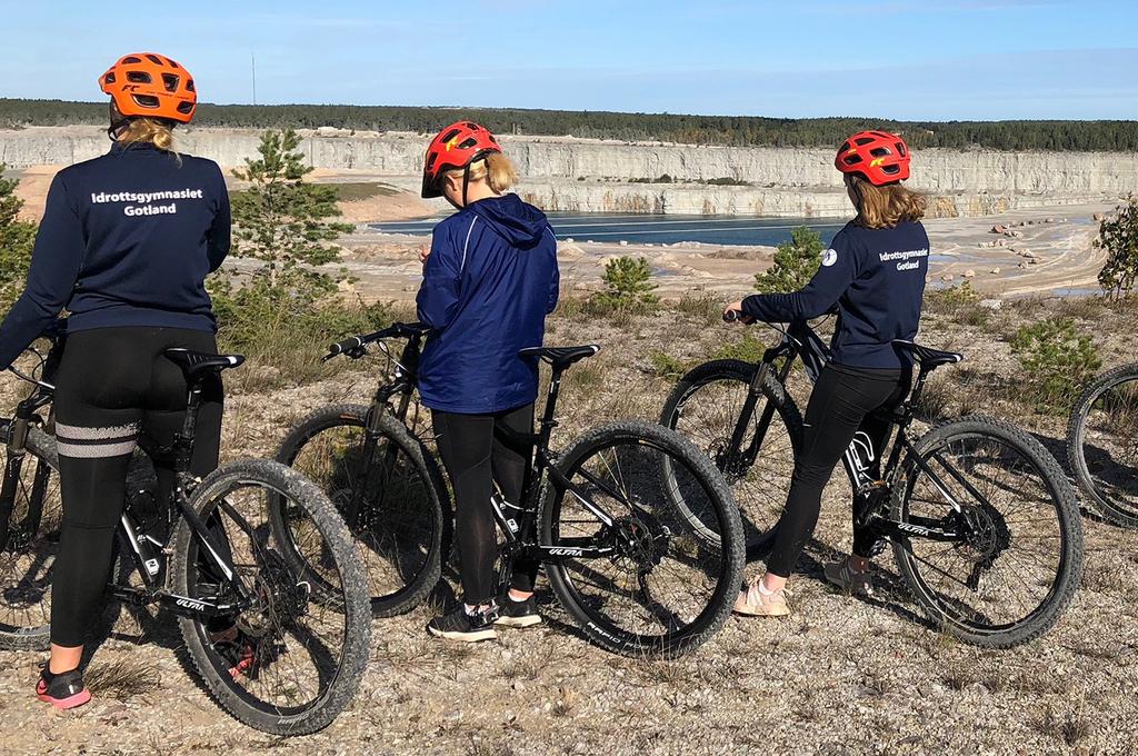 Något mer du vill framföra: För övrigt tycker jag att idrottsgymnasiet har en bra uppbyggnad med en nyttig teori och en väldigt bra träning.