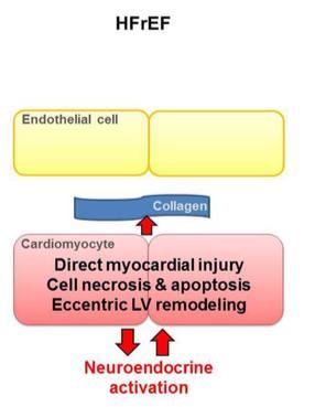HFrEF och HFpEF- olika