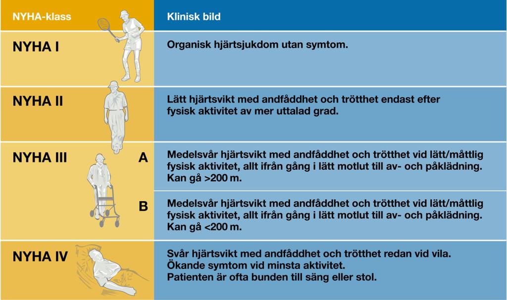 HFpEF för anestesiologen- beskriv svikten!