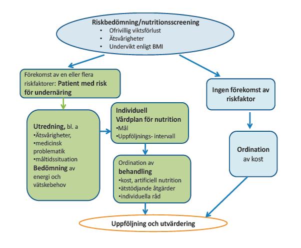 Tre sätt att tillhandahålla Nutritionsvårdsprocesen hjälpmedel När