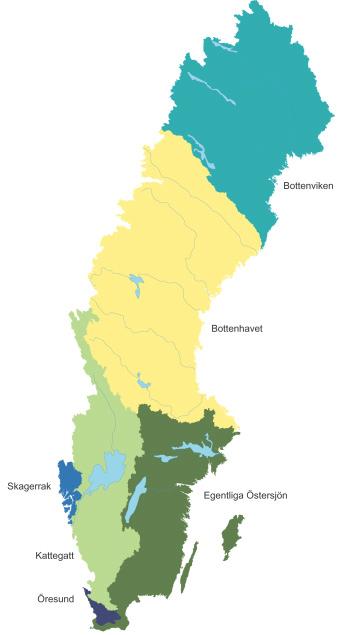 Sveriges omkringliggande hav har delats upp i 6 bassänger (figur 4), nämligen Bottenviken, Bottenhavet, Egentliga Östersjön, Öresund, Kattegatt och Skagerrak.