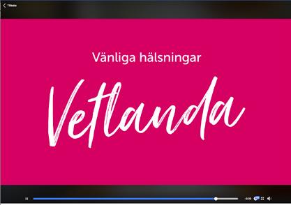 ett fint sätt visar några av
