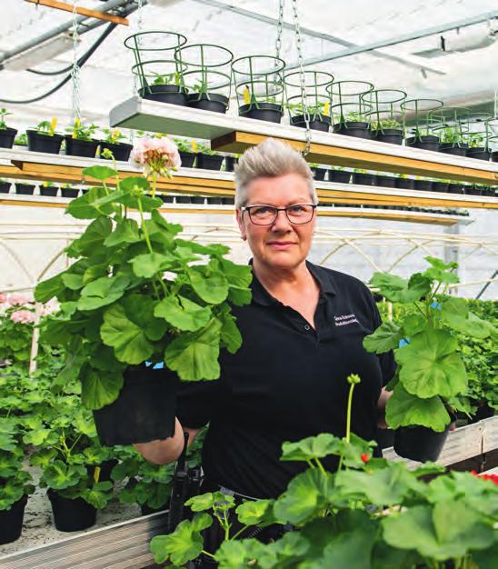RUNTiKRIM SALTVIK SÄKRAR KVALITETEN Genom ett starkt engagemang från produktionsledarna har arbetsdriften på anstalten Saltvik klarat omcertifieringen av kvalitetsledningssystemet till en ny standard.