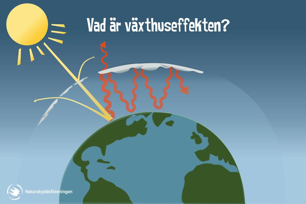 F-gaserna Ozonhålsproblematiken går rakt över till växthuseffektsproblematiken Kyotoprotokollet träder i kraft 2005 Redan 2012 började vi