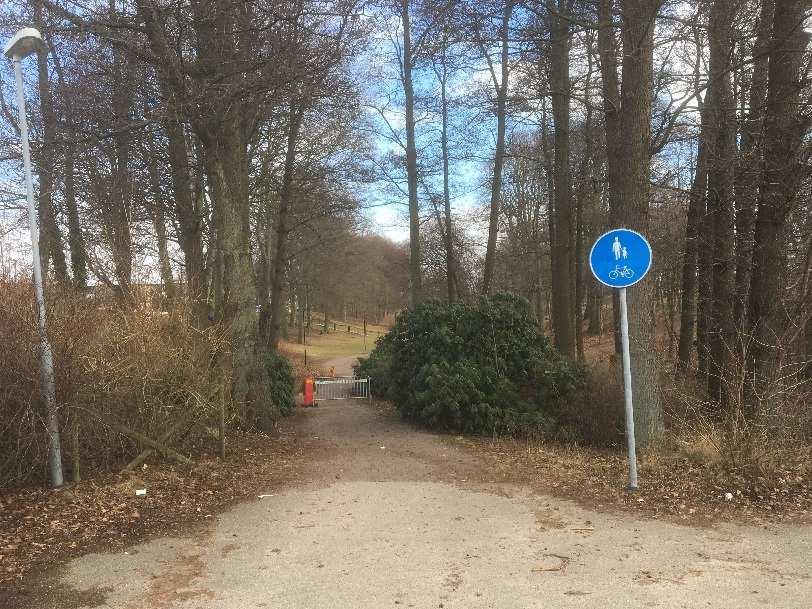 trädstammar. Detta mottogs positivt av gruppen.