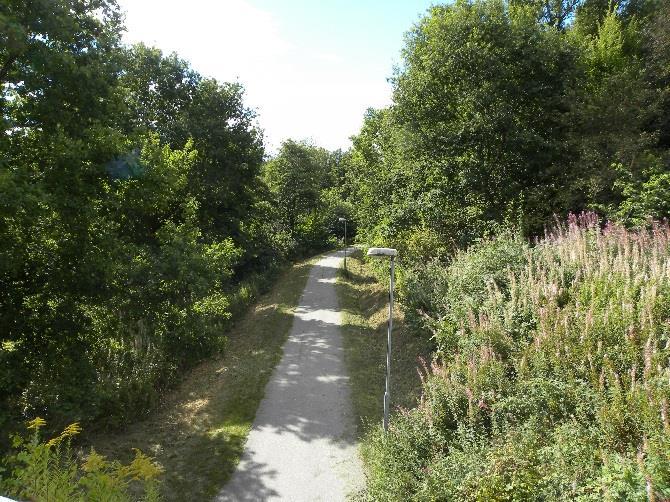 Skyddade områden Strandskyddet är upphävt i gällande stadsplan.