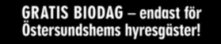 hans kamera på en och samma bild.