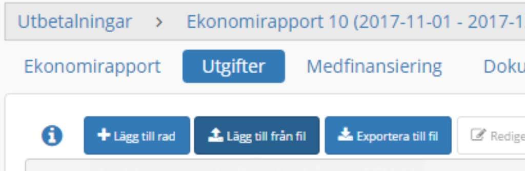 Inmatning av utgifter För att lägga till utgifterna manuellt, rad