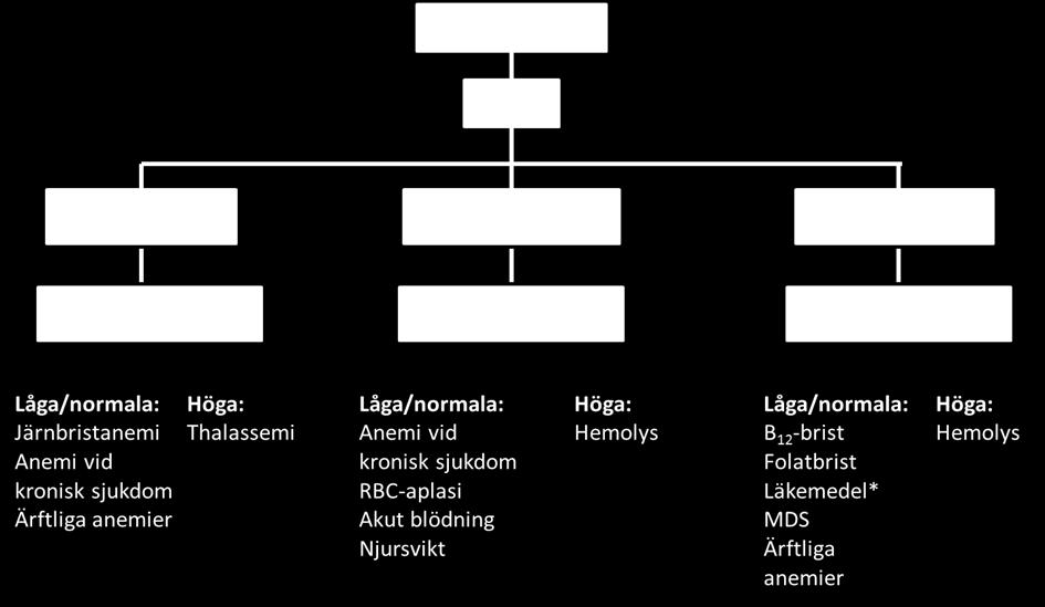 Låga eller normalt antal retikulocyter tyder på att benmärgen inte kan svara på det ökade produktionsbehovet pga bristtillstånd eller primär benmärgssjukdom.