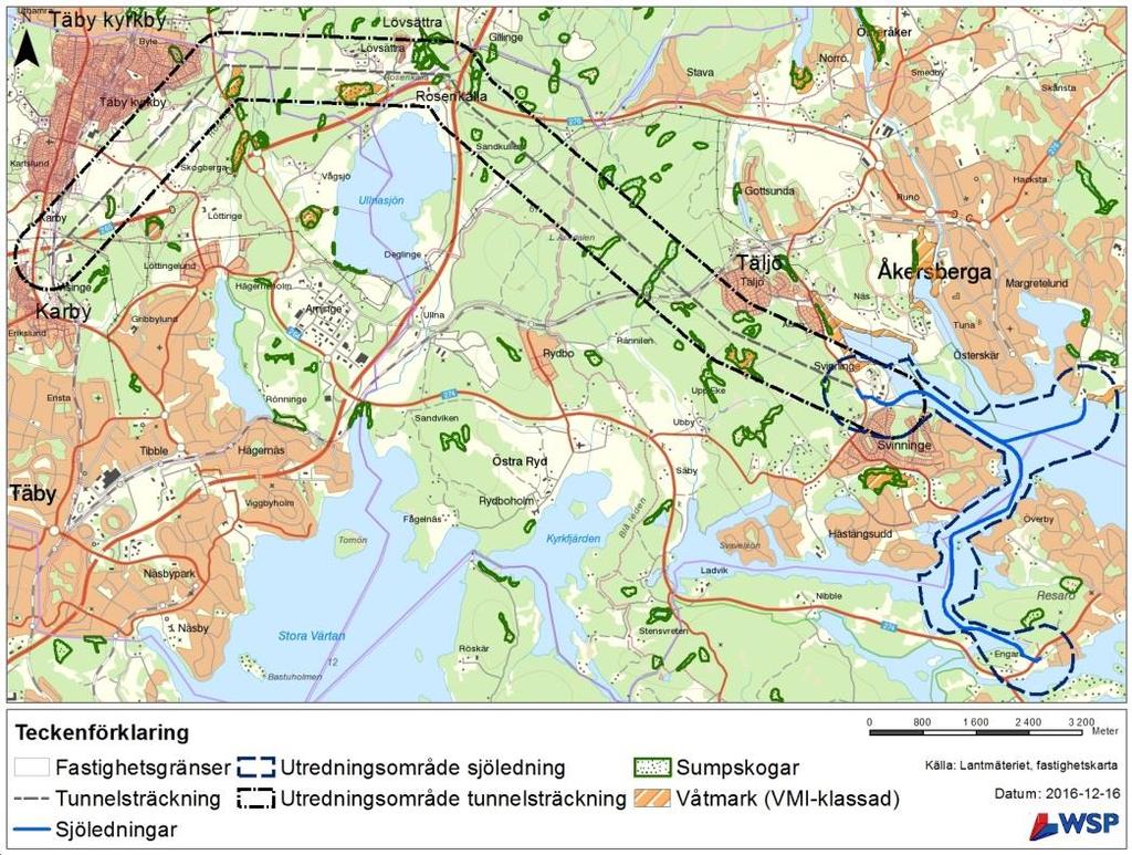 Figur 5-3. Våtmarker och sumpskogar inom utredningsområdet (bufferområdet). I Täljö finns det exempelvis en väl avgränsad tallsumpskog. Denna bedöms ha ett visst naturvärde.