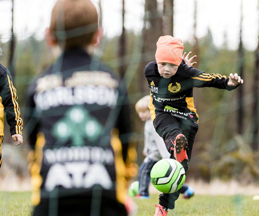 UTVECKLINGSRESA: Inkluderande idrott för alla Önskat läge 2025 2025 känner sig pojkar och flickor, män och kvinnor och i olika åldrar och med olika förutsättningar och bakgrund välkomna till