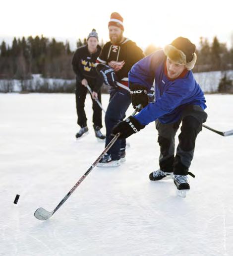 SISU Idrottsutbildarnas ekonomiska plan 2018-2019 SISU Idrottsutbildarna har i budgetunderlaget till regeringen för 2018-2019 äskat om en årlig uppräkning av det statliga stödet med 28 miljoner