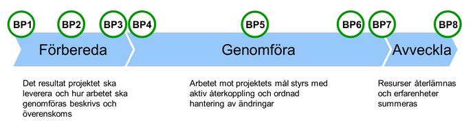 För projekt som drivs enligt projektstyrningsmodellen PPS gäller följande process: : Mottagande part ska utses senast i samband med att projektplanen godkänns, PPS beslutspunkt BP3 Projektledaren är