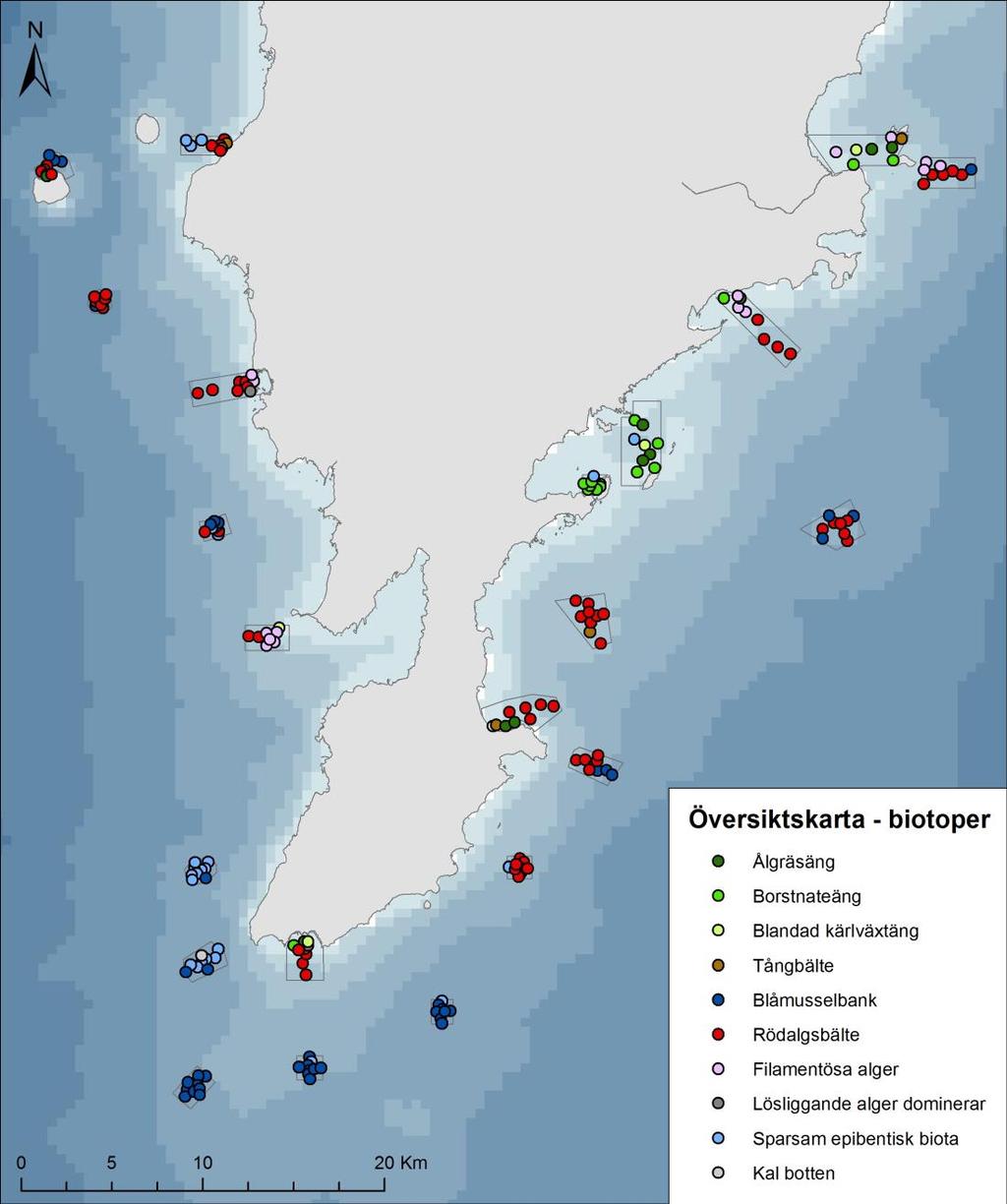 Fyra områden (0, 1, 3 och 4) undersöktes i sydost. Områdena 1, 3 och 4 är belägna på exponerade bottnar utanför kusten medan område 0 ligger delvis skyddat på Faluddens nordsida.