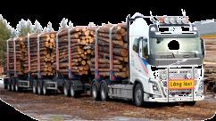 combination 90 ton timber 30m 6 DUO-trailer