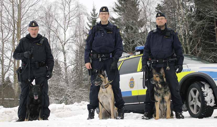 Hundjobbet Göran Nilsson med Jockey. Simon Mainwaring med Tayma Daniel med Ilex.