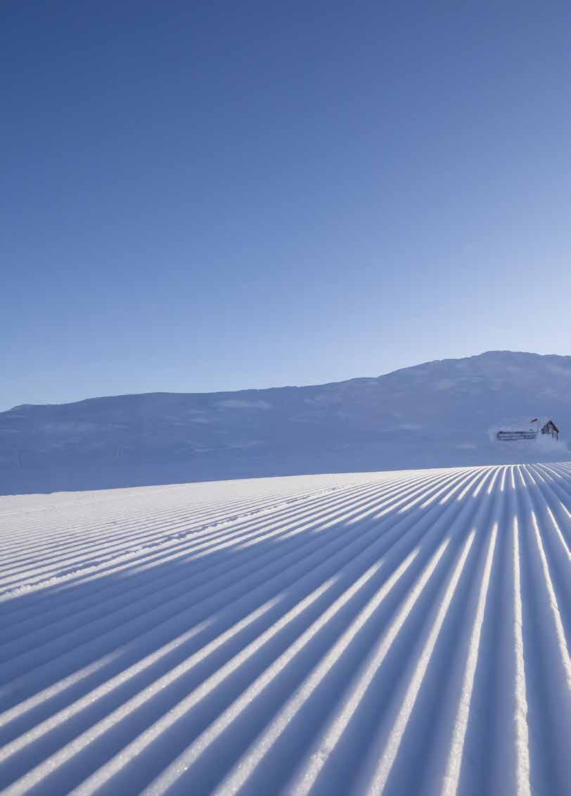 DET HÄR ÄR SKISTAR 14,3 MILJONER BESÖK/ÅR 6 DESTINATIONER 15% RABATT FÖR AKTIEÄGARE 1975/78 1997 1999 2000