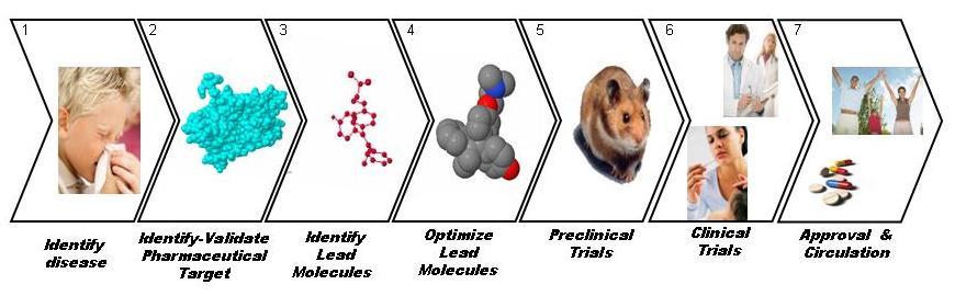 Drug discovery and development olika delar Strategic issues Cellular & genetic targets Synthesis & isolation Structureactivity studies In vitro, in vivo Phase I Phase IV Scientific & technical issues