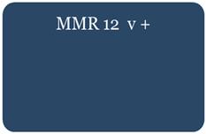 20181213 MMR+ tillägg (RECOprojektet) Patienter med utmattningssyndrom, n=132 (RCT Rehsam 2010 2013) Syfte påverka kognitiv funktion och arbetsförmåga MMR 12 v MMR 12 v KBT, FaR, åtgärder för