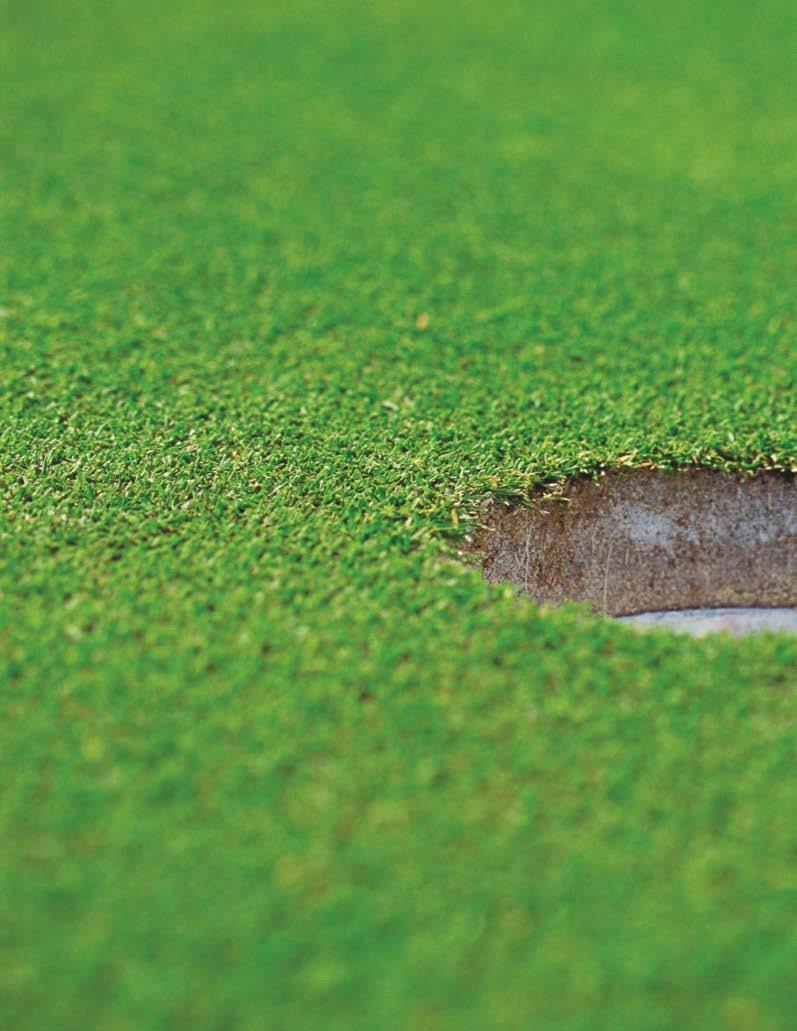 Syngenta är ett av världens främsta forsknings- och teknikföretag och tillhandahåller lösningar inom avancerade växtskydd, livsmedelsproduktion och högkvalitativa spelytor.