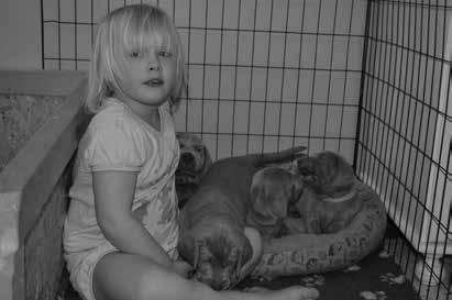 Kennel Free Will s I detta nummer av WeimaranerNytt har vi återinfört uppfödarintervjun och först ut är kennel Free Will s och det är Jenny Degerman som svarat på frågorna.