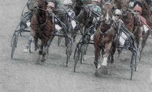 Start :0 ODDS TVILLING Bankod 07 -åriga oh äldre högst.000 kr. 0 m. Tillägg 0 m vid vunna.00 kr. PLATS Pris: 0.000-.000-9.00-.700-.800-(.700)- (.700) kr. Hederspris till segrande hästs ägare.