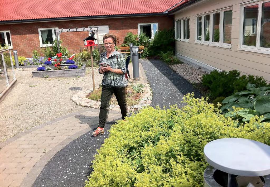 Behov av särskilda boende i