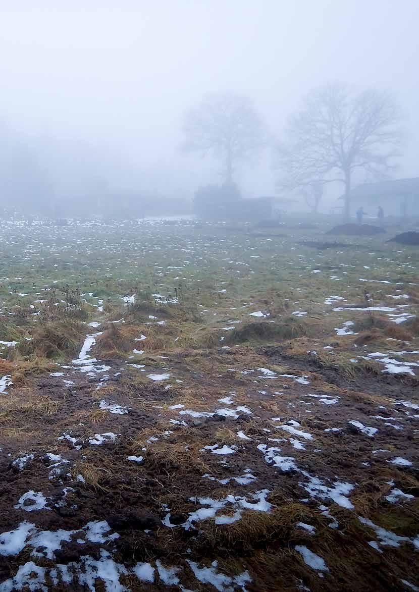 Bohusläns museum RAPPORT 2018:12 Arkeologisk förundersökning av del av Ljung 92 Arkeologisk