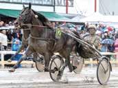 Platon Face ägs av Knutsson Trotting AB i Göteorg och har sprungit in drygt, miljoner och utvecklas allt- Platon Face och Adrian Kolgjini vann Kalmarsundsstayern.