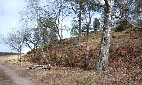 Vi kan glädjas åt ett snyggt resultat efter dagens