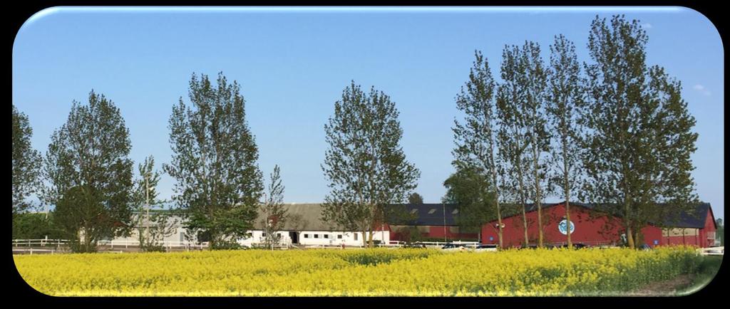 Välkommen till Viarp! Viarps kör- och ridklubb är en ideell förening som grundades 1972. Under åren har föreningen stadigt utvecklats och idag har vi drygt 600 medlemmar.