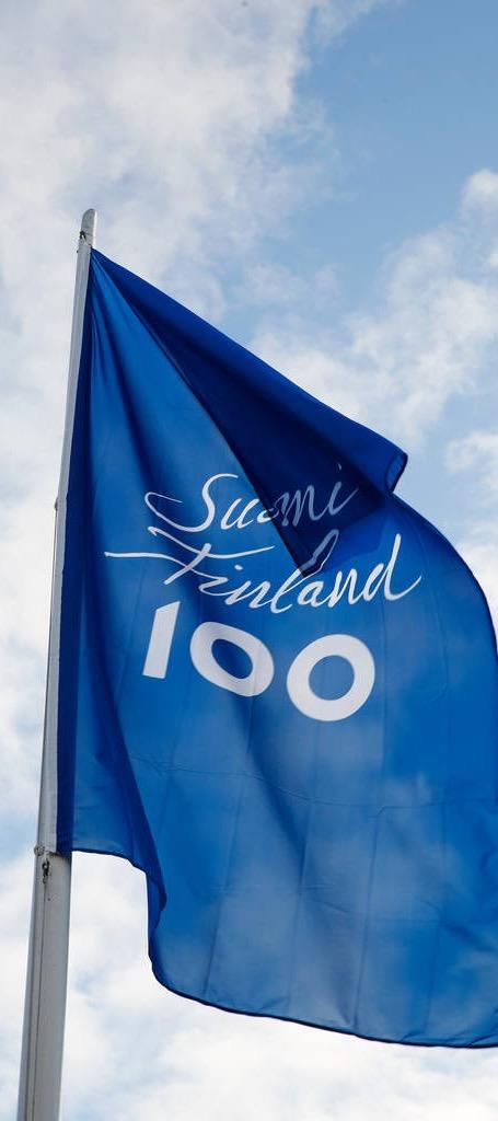 Användning av logotypen i programprojektens företagssamarbete Projekt som hör till Finland 100-programmet kan fritt ha samarbetspartner och sponsorer.