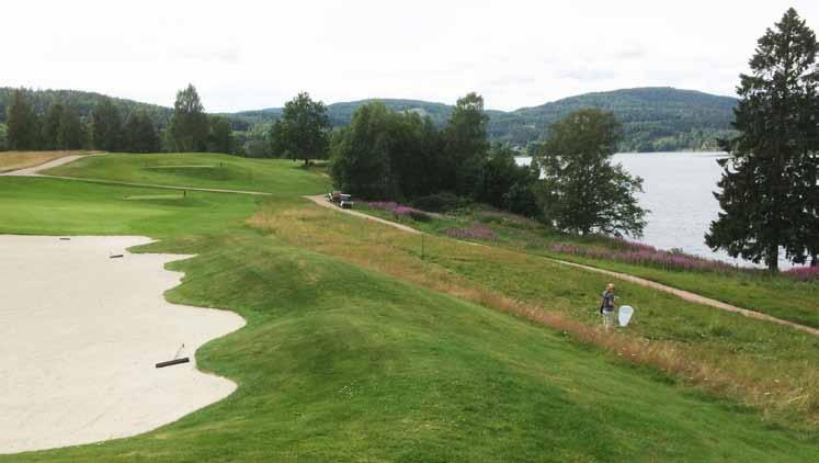 Flora och fauna inventeras, Oslo GK Förord I de nordiska länderna finns ca 1000 golfanläggningar som tillsammans upptar mer än 70 000 ha mark.