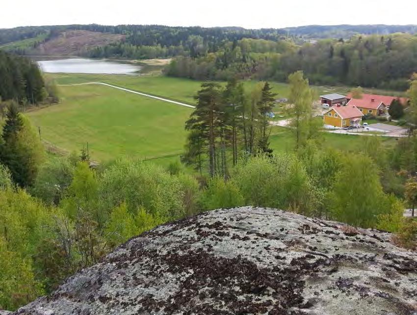 Boendemiljö Barriäreffekter - Friluftsliv Bergs vatten -