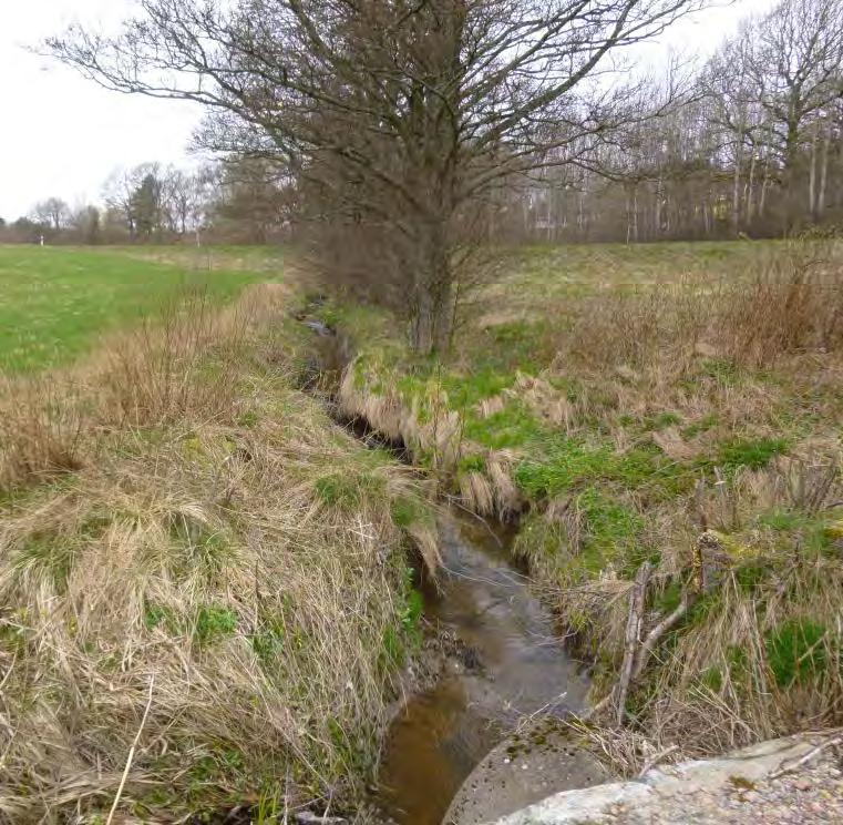 Vatten - Dagvattenhantering Befintliga vattendrag/diken leds separat under vägen utan att blandas med