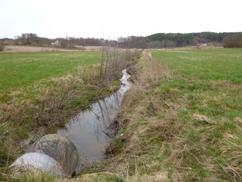 vatten Anmälan för vattenverksamhet till länsstyrelsen Grundvatten Ytligt liggande grundvatten