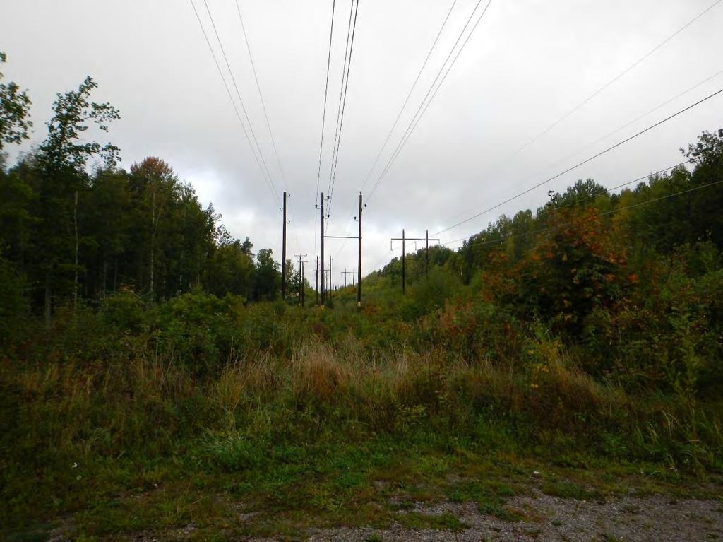 Figur 6.3. Vattenfalls ledningar (vänster) och Ellevios L13 (höger) genom Engelska parken.