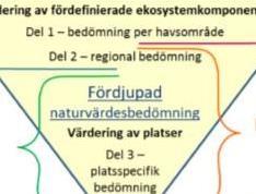 den fördjupade naturvärdesbedömningen förhåller sig