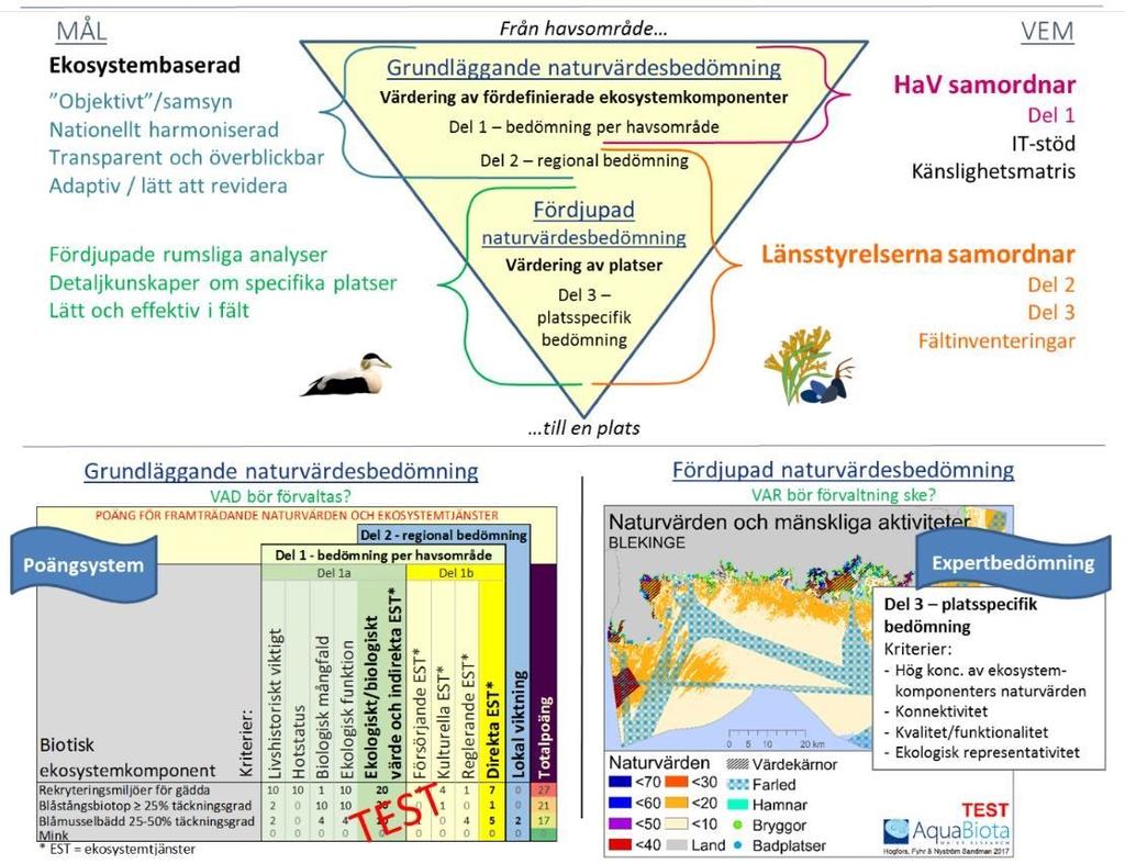 ekosystembaserad adaptiv förvaltning) samt vilka