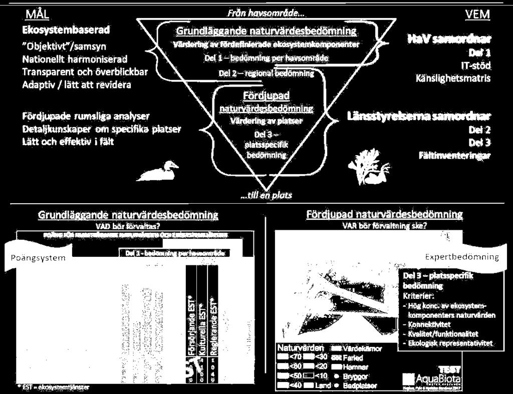 VEM). Längst ner ges en översikt av kriterierna för de