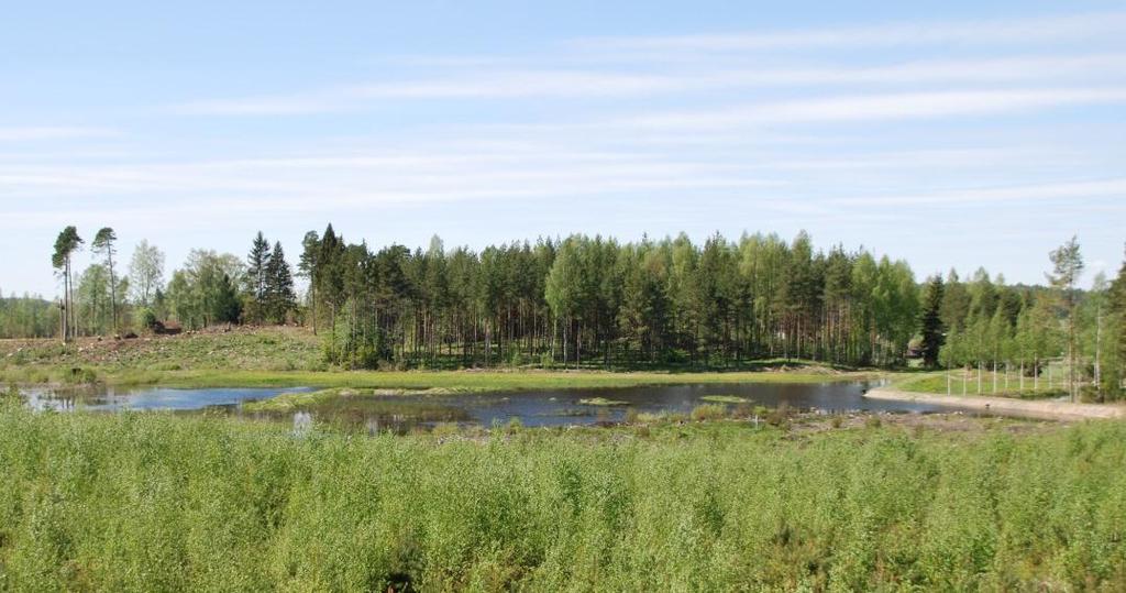 9 Mikko Alhainen Härmälä våtmark, Sagu Sjöfåglarna hittade snabbt den nya två hektar stora livsmiljön.