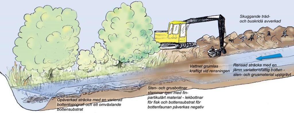 Uppdrag Inom ramen för projektet Helhetsperspektiv Höje å har Ekologgruppen tilldelats en rad uppdrag från Höje ås vattenråd.